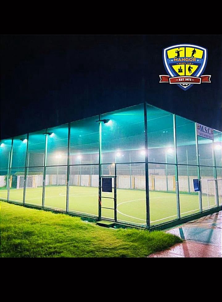 Cricket/Futsal Turf